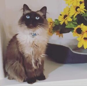 Meet your Posher, Mel